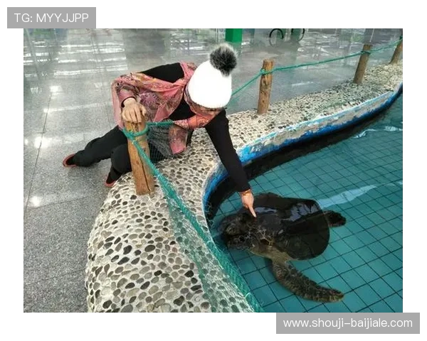 博鱼真人官方平台安全保障措施，确保每一位玩家的资金与个人信息安全